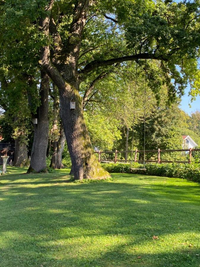Herrenhaus - Starnberger See - Ammerland Münsing المظهر الخارجي الصورة
