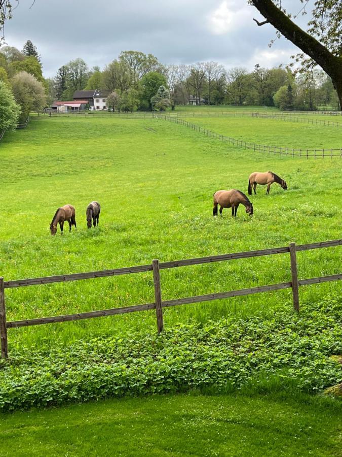 Herrenhaus - Starnberger See - Ammerland Münsing المظهر الخارجي الصورة