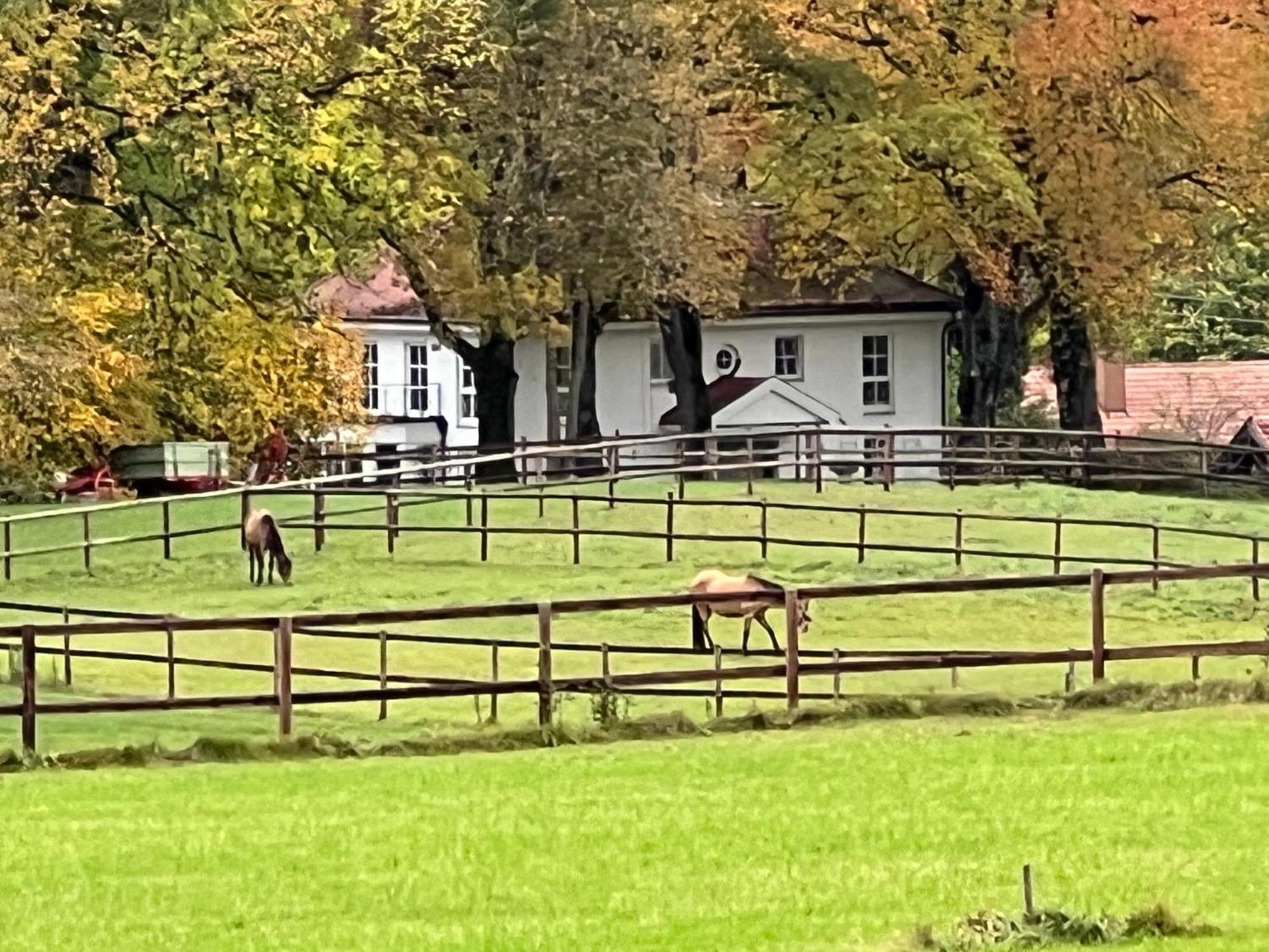Herrenhaus - Starnberger See - Ammerland Münsing المظهر الخارجي الصورة