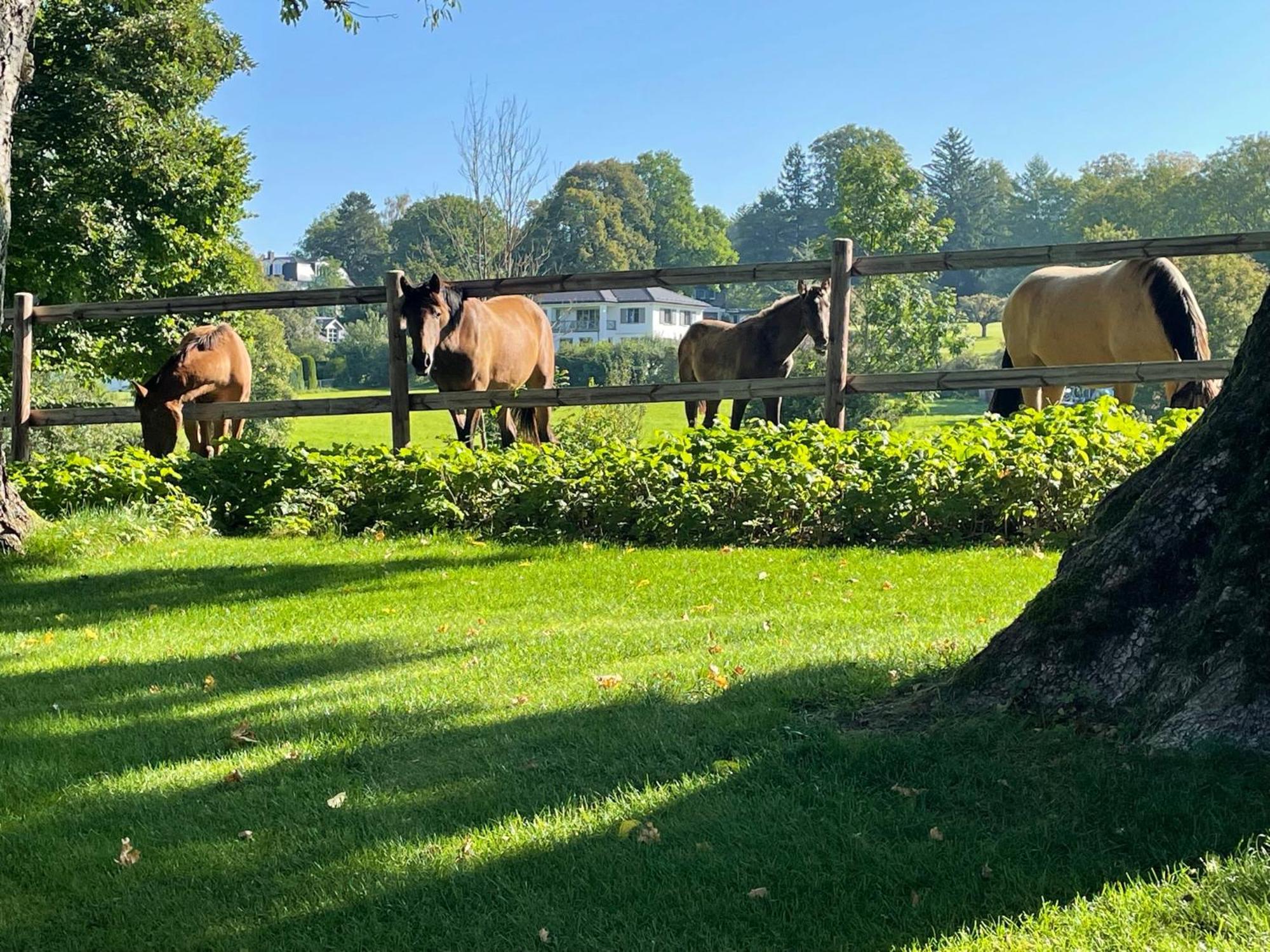 Herrenhaus - Starnberger See - Ammerland Münsing المظهر الخارجي الصورة